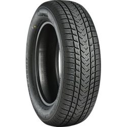 GRIPMAX 175/65R17 87V SUREGRIP EWINTER