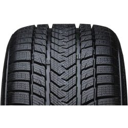 GRIPMAX 215/35R19 85V XL PRO WINTER